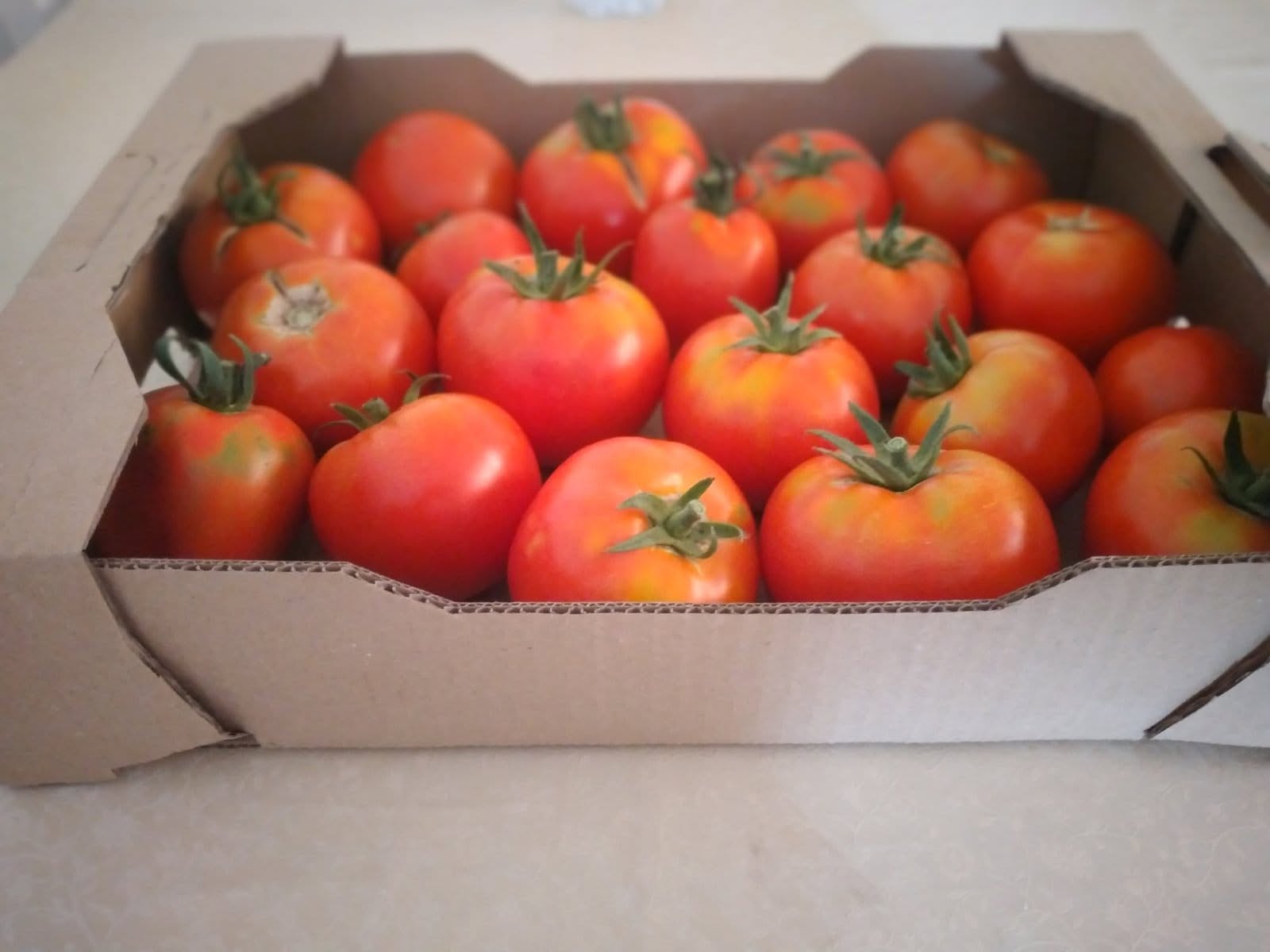 BioFarm Demi