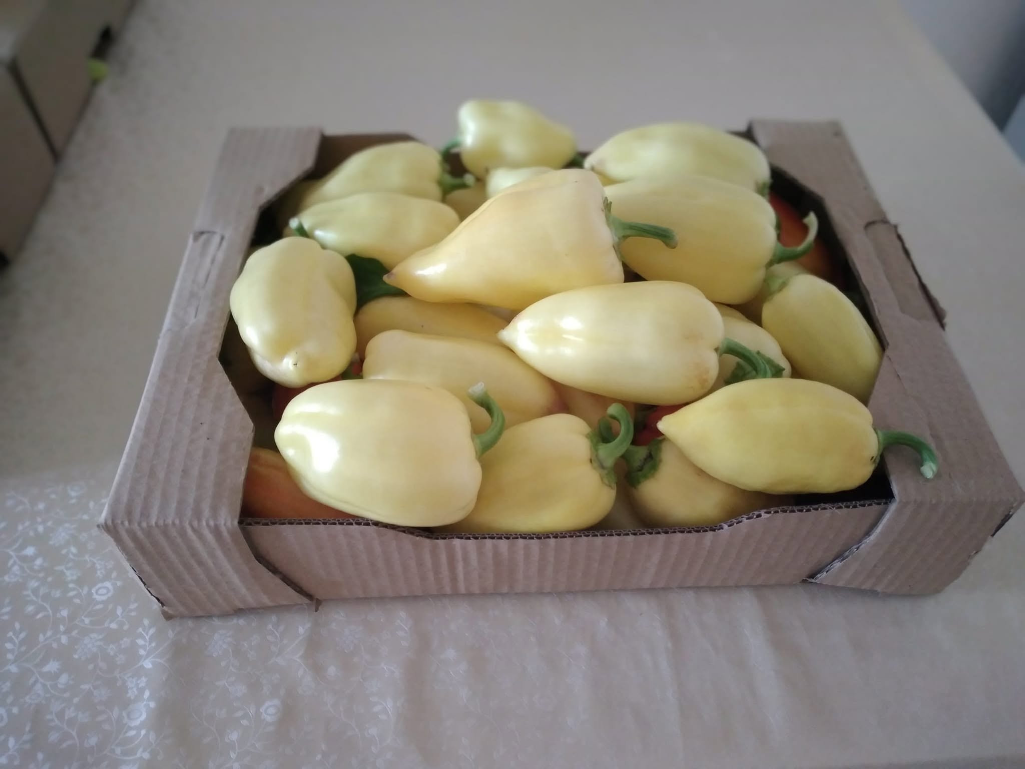 BioFarm Demi